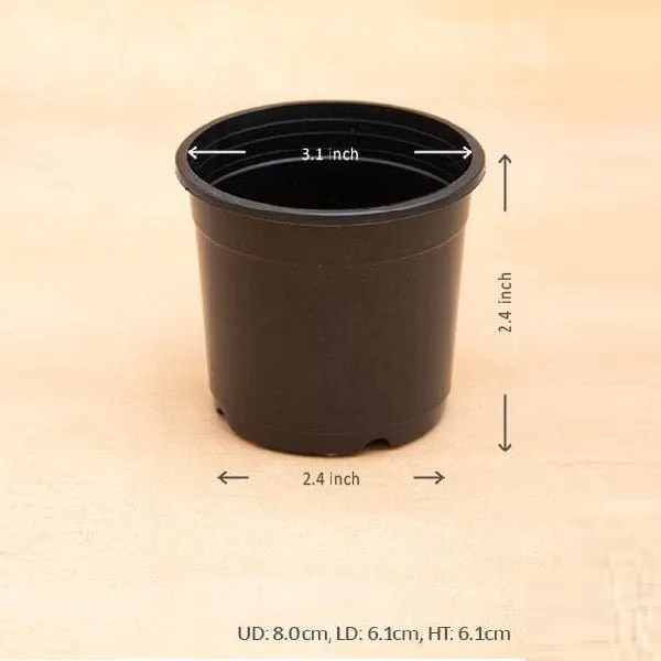 3 inch (8 cm) Grower Round Plastic Pot