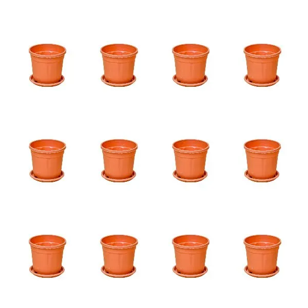 3 inch (8 cm) Grower Round Plastic Pot