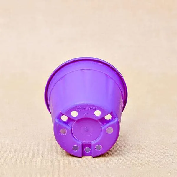 6 inch (15 cm) Grower Round Plastic Pot (Violet) (set of 6)