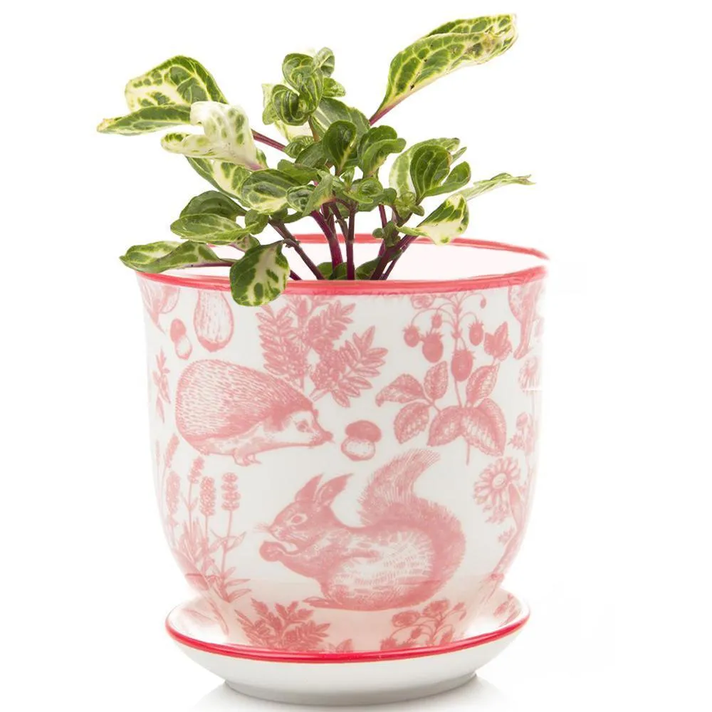 Big Liberte 3 Pot & Saucer