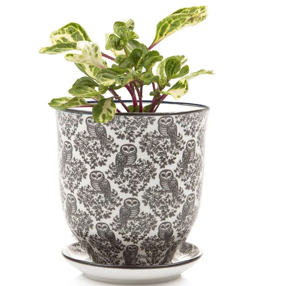 Big Liberte 3 Pot & Saucer