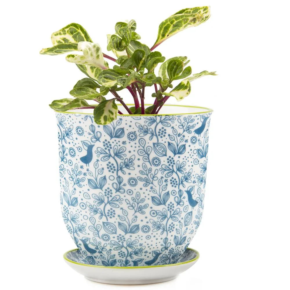 Big Liberte 3 Pot & Saucer
