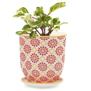 Big Liberte 3 Pot & Saucer