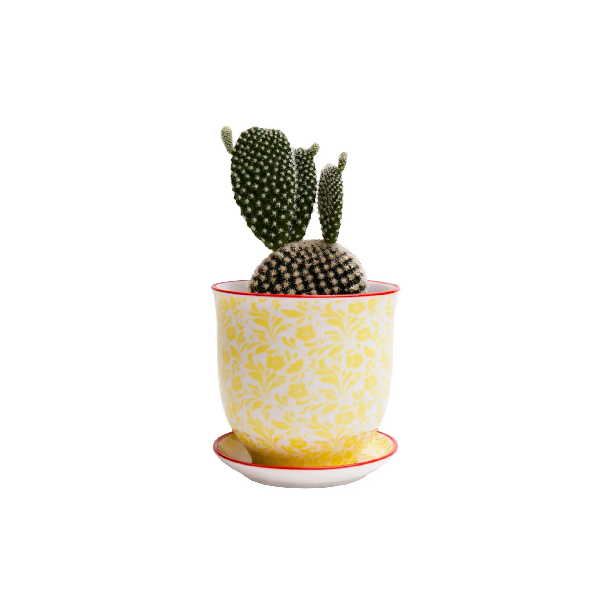 Big Liberte 3 Pot & Saucer