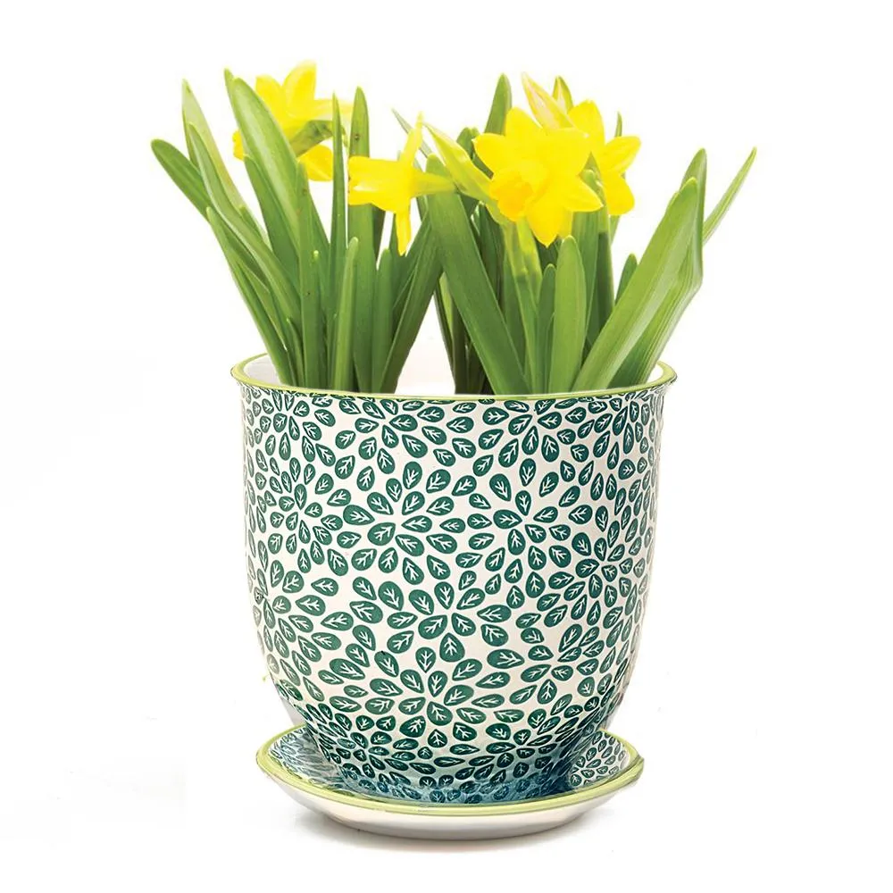 Big Liberte 3 Pot & Saucer