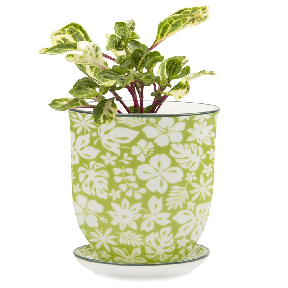 Big Liberte 3 Pot & Saucer