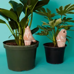 Bird Frog Terracotta Watering Stake Set