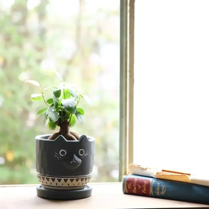 Black Cat Planter - Cement