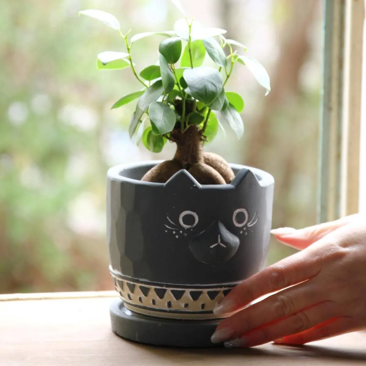 Black Cat Planter - Cement