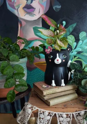 Black Cat Resin Planter | Assorted Sizes