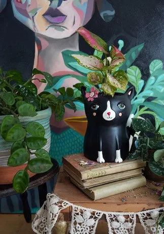 Black Cat Resin Planter | Assorted Sizes