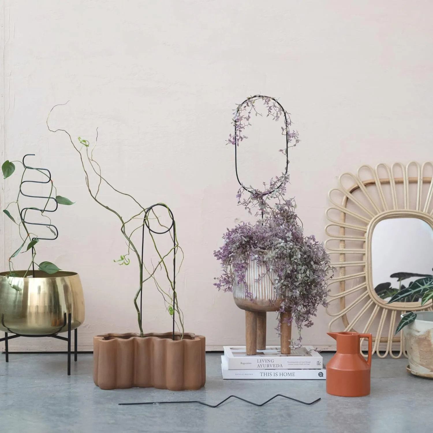 Black Metal Plant Trellis