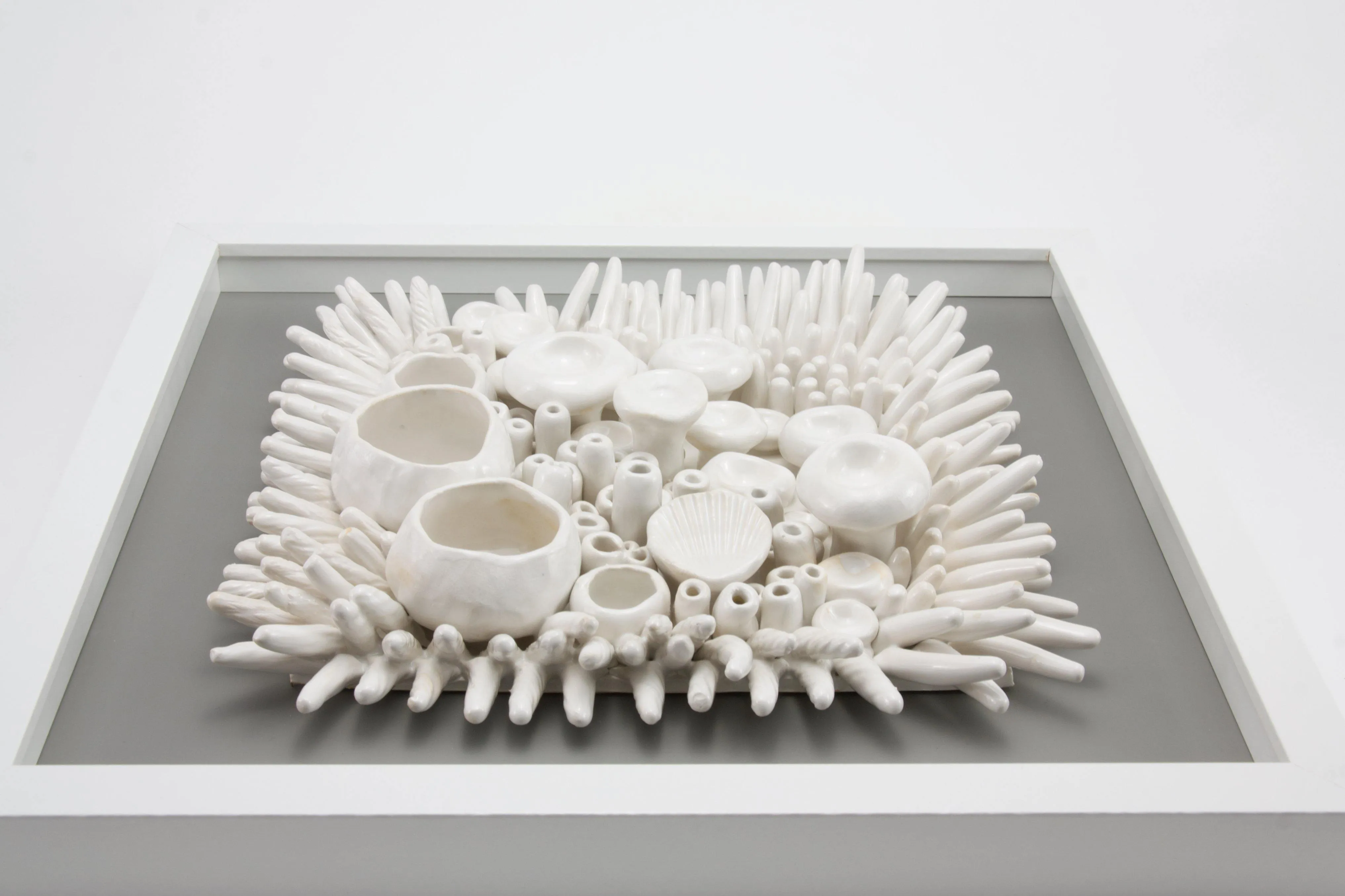 Ceramic Wall Art -  Barnacle and Anemone Sea Texture