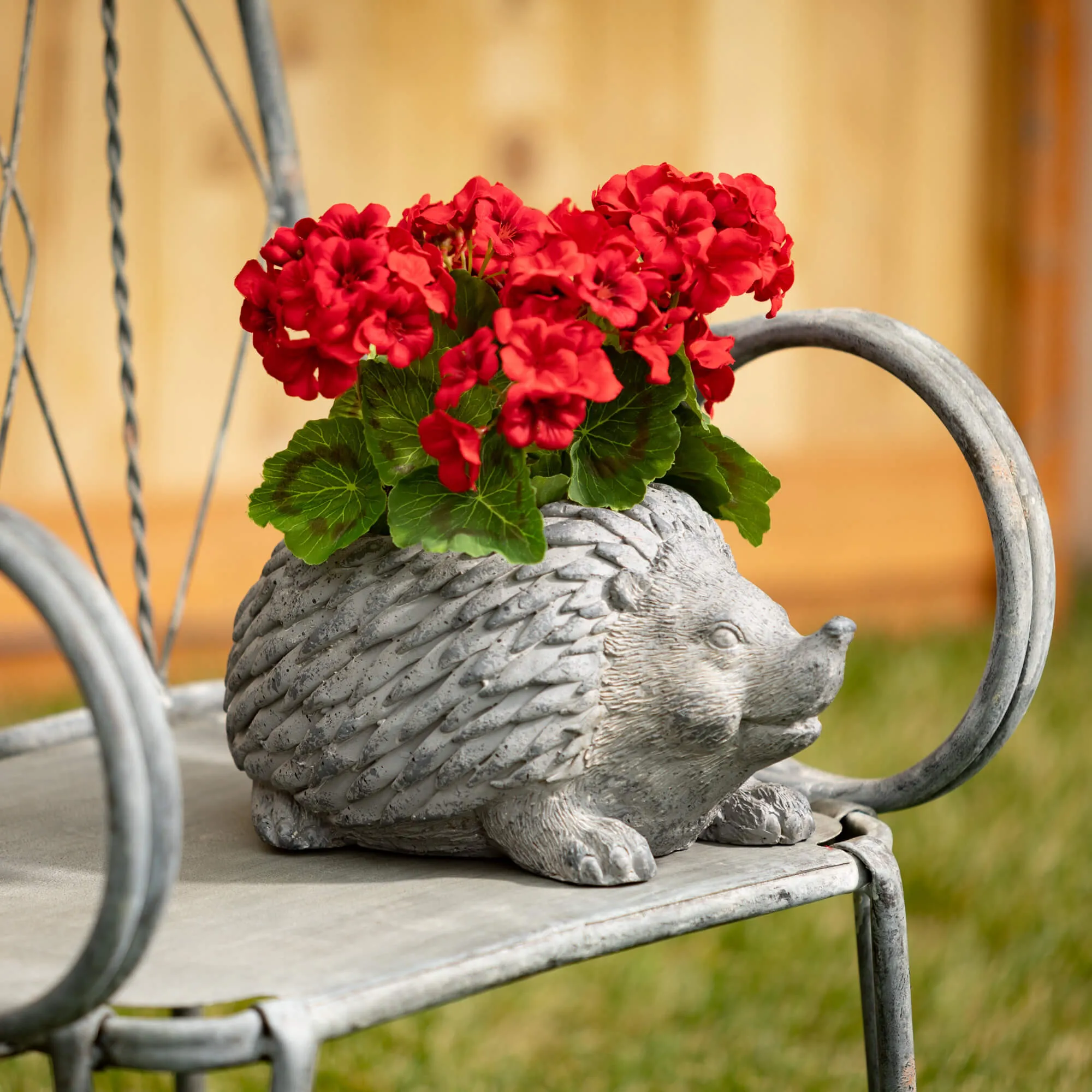 Charcoal Hedgehog Planter