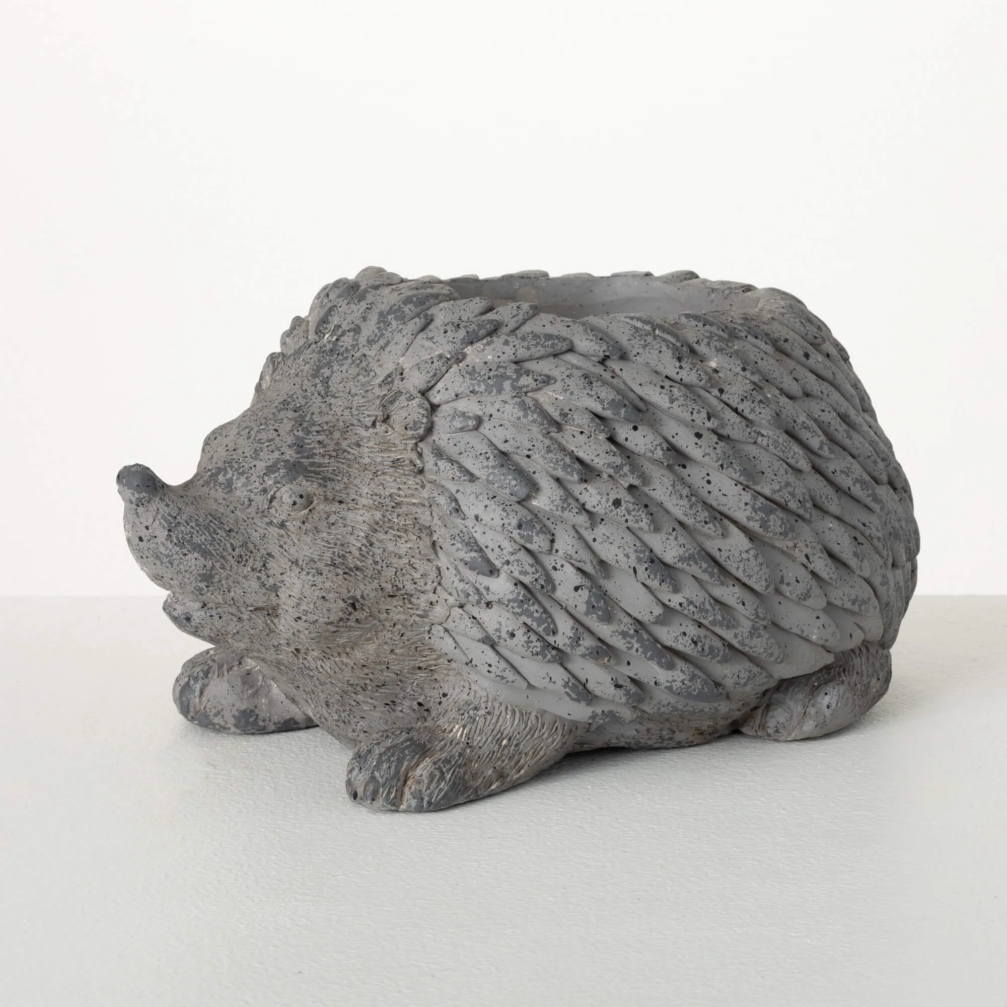 Charcoal Hedgehog Planter