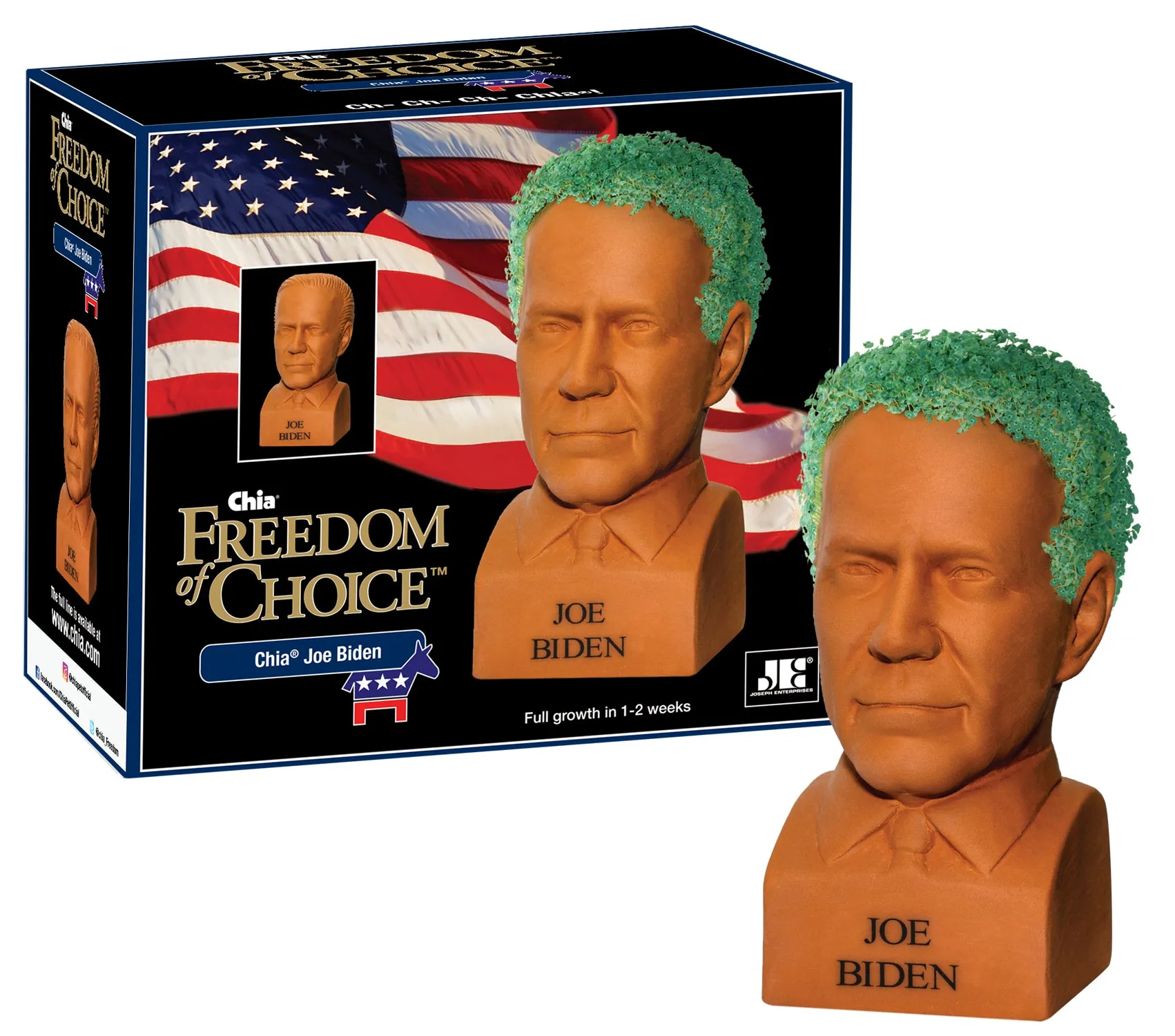 Chia Pet Planter - Freedom of Choice Joe Biden