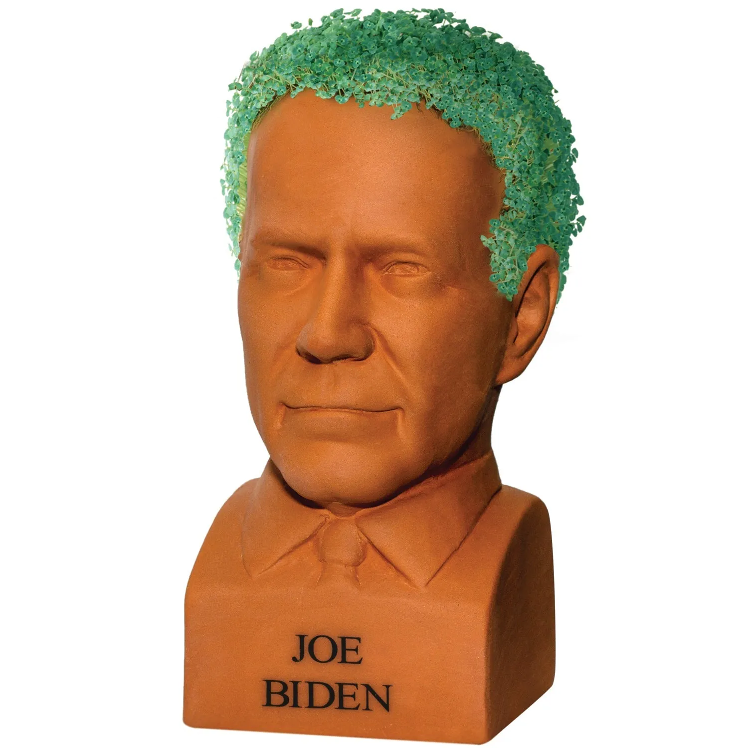 Chia Pet Planter - Freedom of Choice Joe Biden