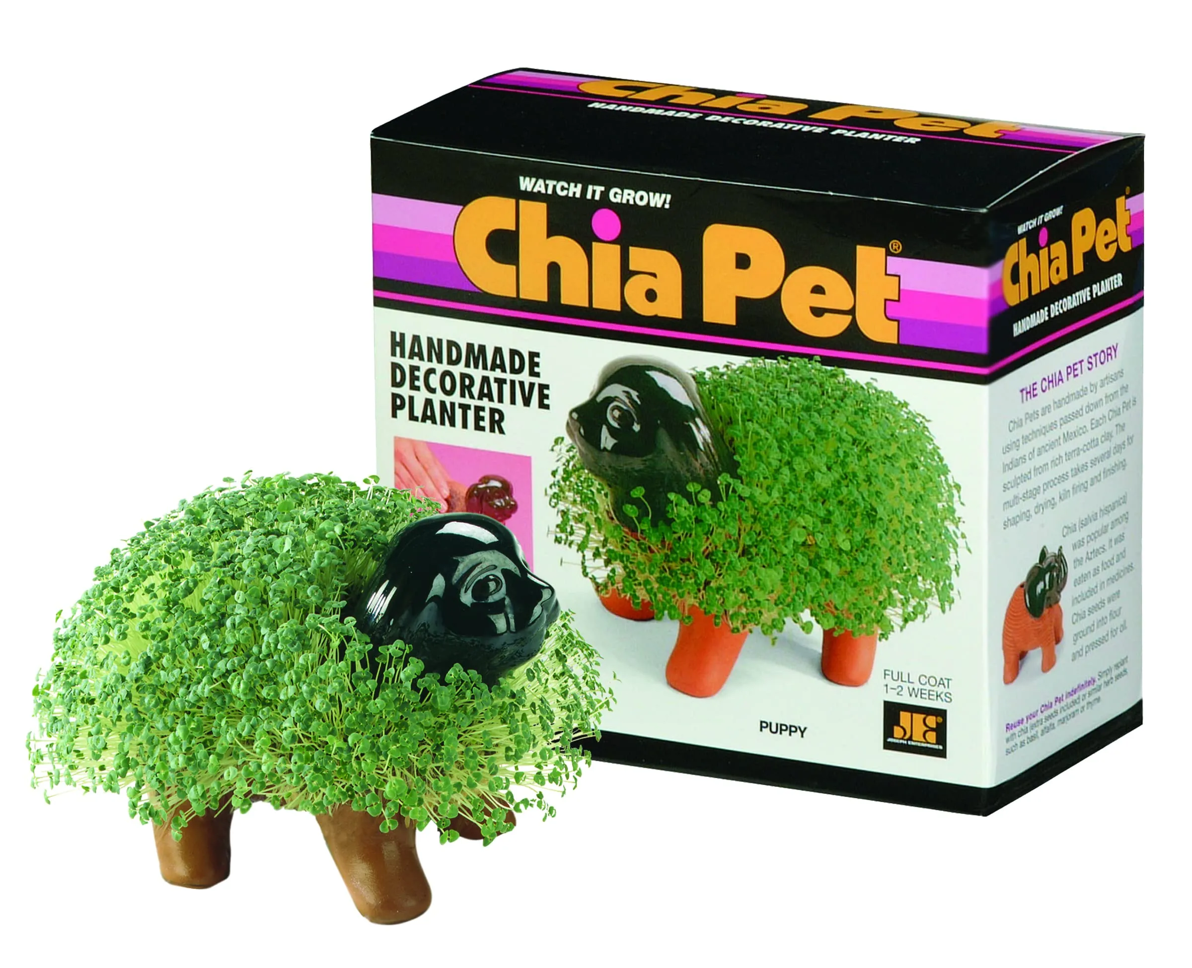 Chia Pet Planter - Puppy