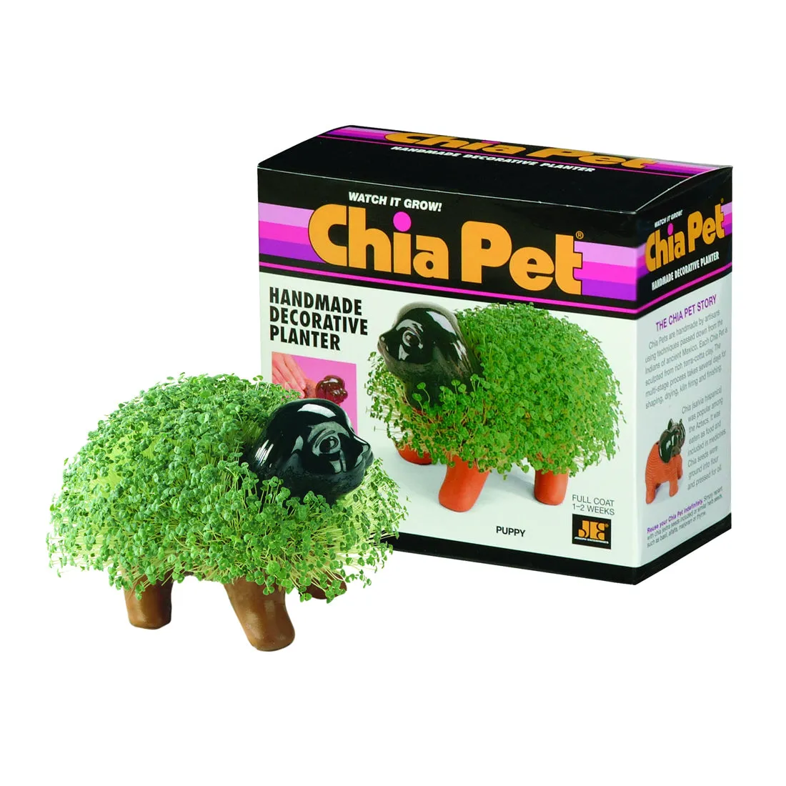 Chia Pet Planter - Puppy