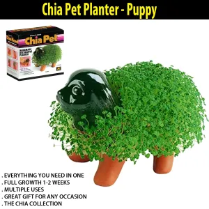 Chia Pet Planter - Puppy