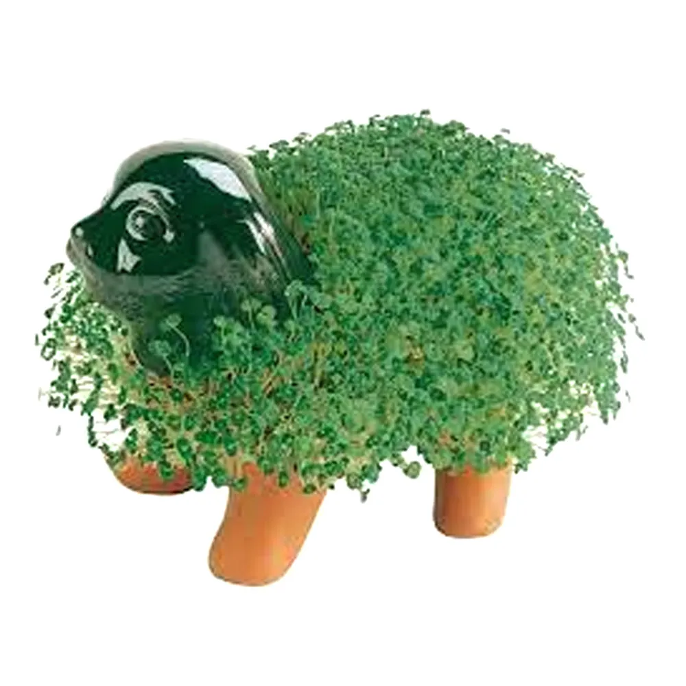 Chia Pet Planter - Puppy