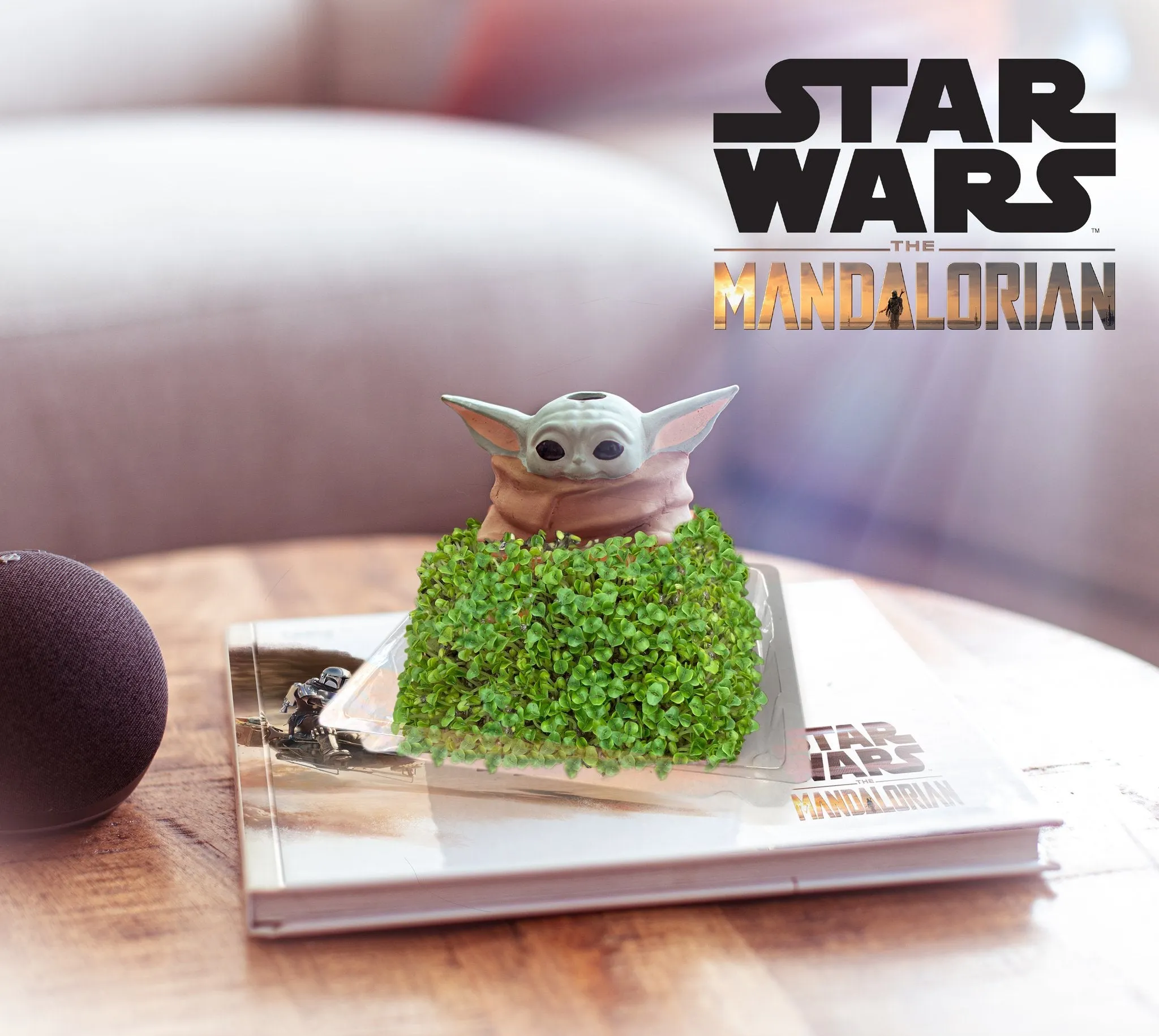 Chia Pet Planter - Star Wars Yoda the Child in Mando's Satchel
