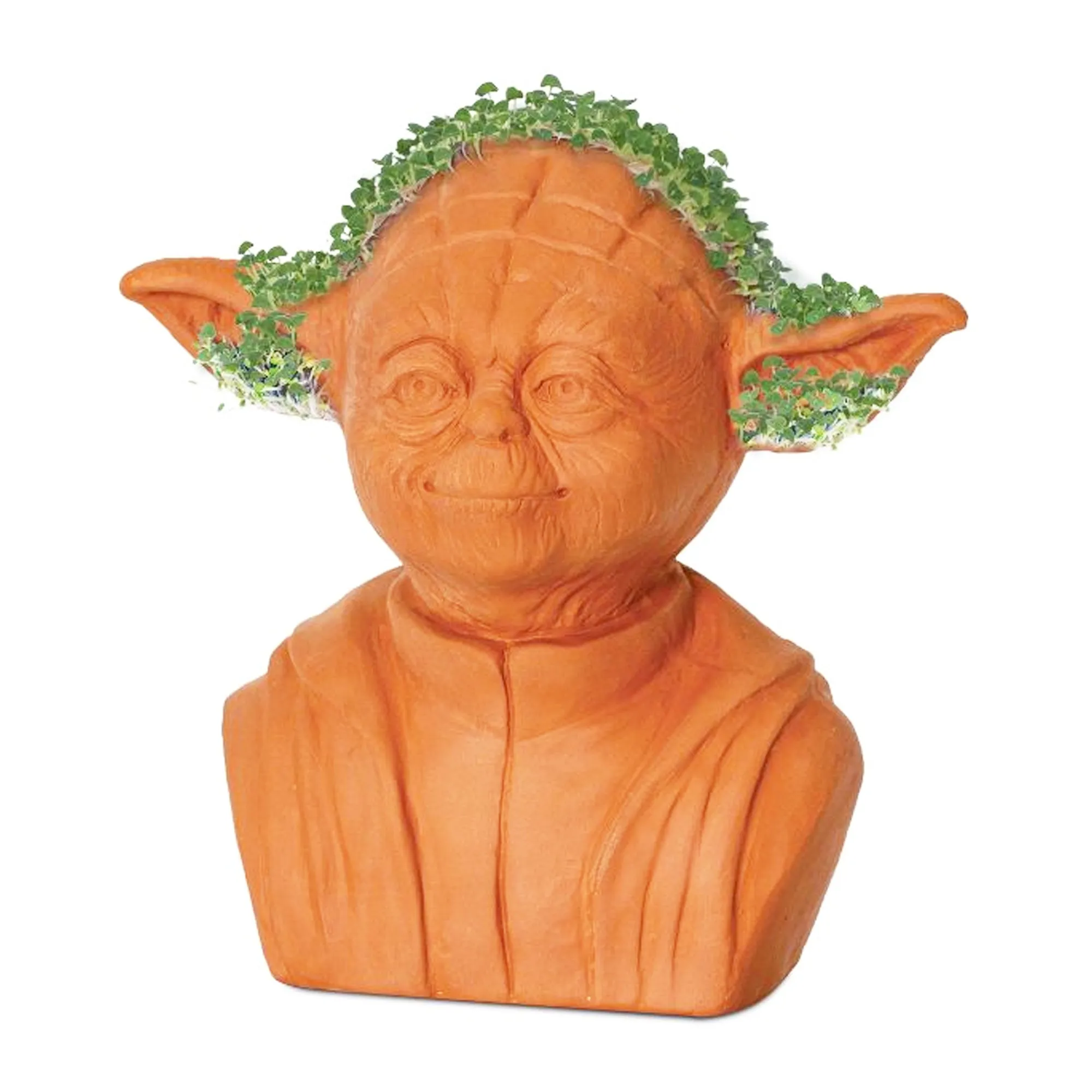 Chia Pet Planter - Star Wars Yoda