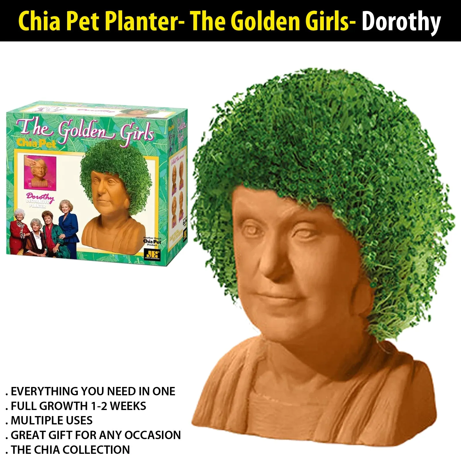 Chia Pet Planter - The Golden Girls- Dorothy