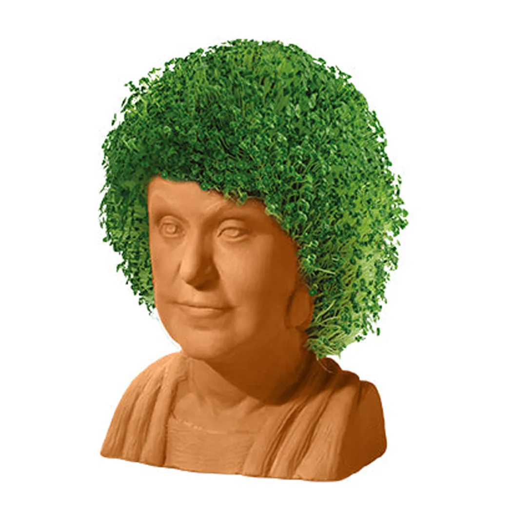 Chia Pet Planter - The Golden Girls- Dorothy