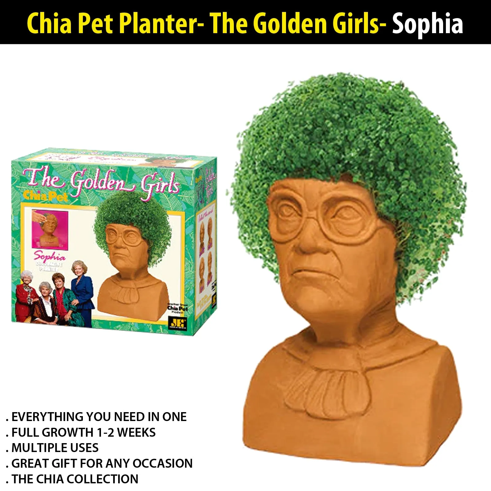Chia Pet Planter - The Golden Girls- Sophia
