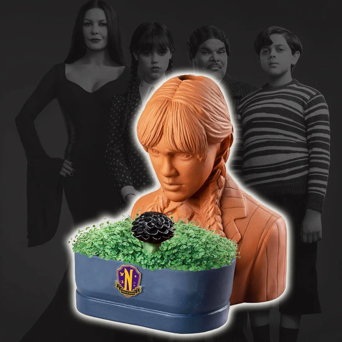 Chia Pet Planter - Wednesday