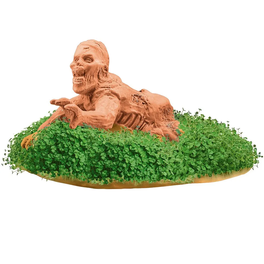 Chia Pet Planter - Zombie -Dragging Drew