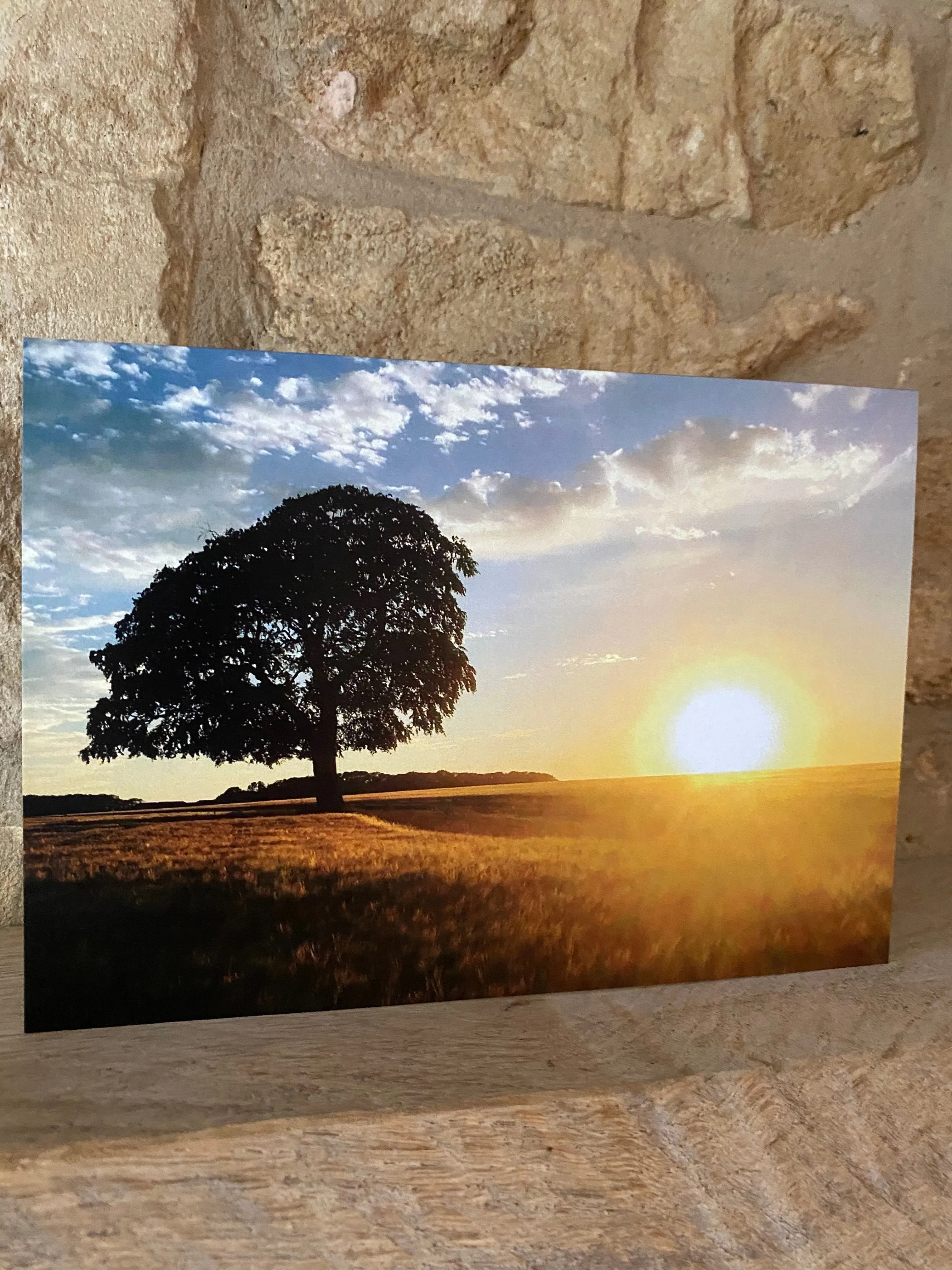 Cotswolds Cards "Sunset with tree Kingscote" greetings card