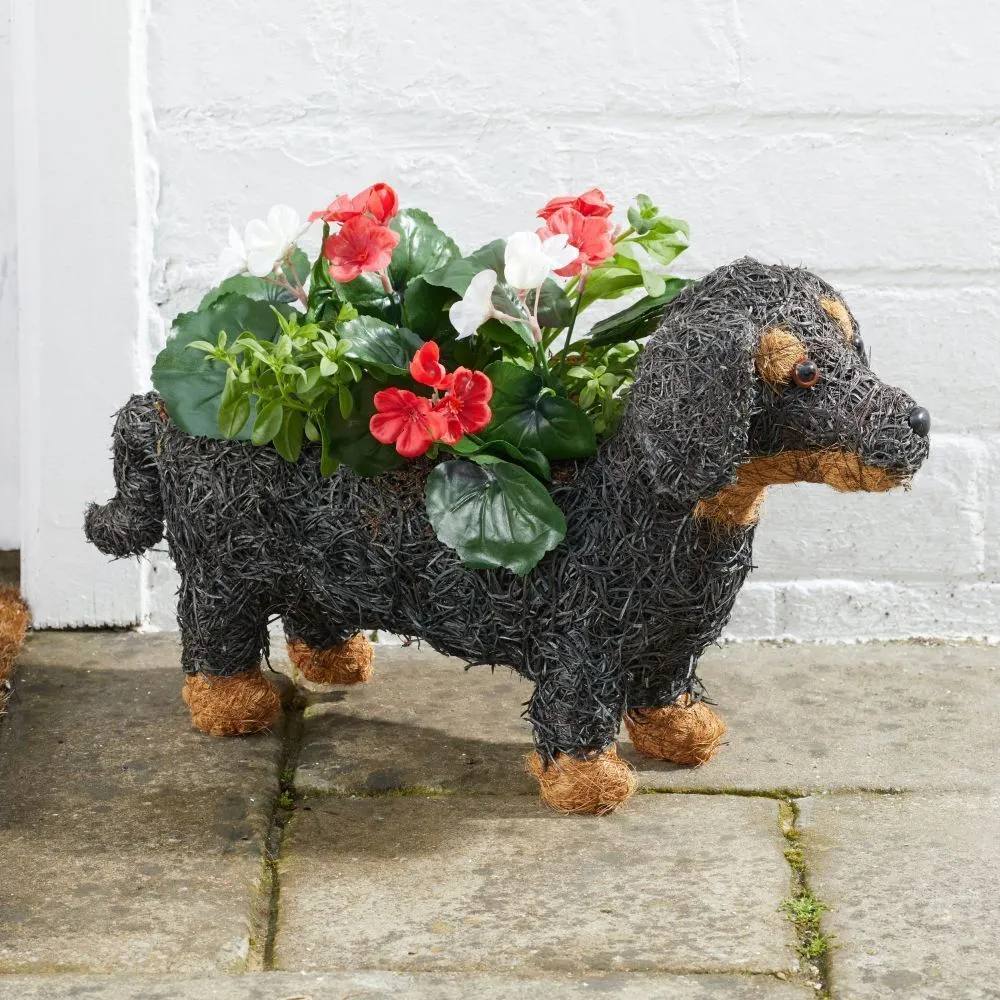 Flamboya 45cm Sausage Dog Rattan Planter