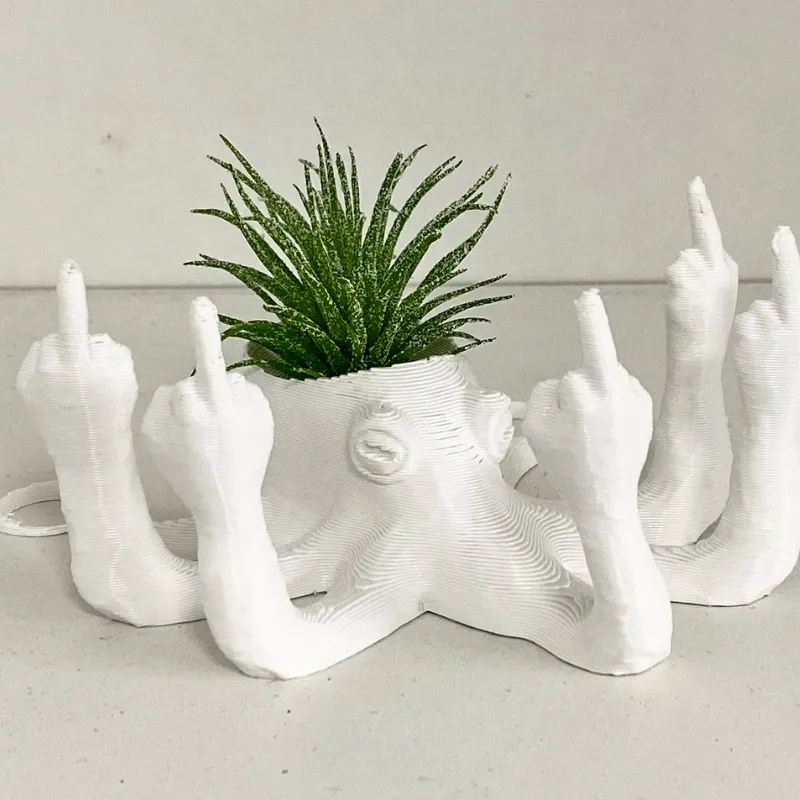 Fucktopus Air Plant Pot