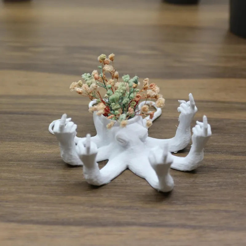 Fucktopus Air Plant Pot