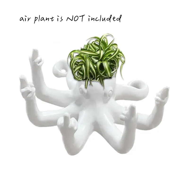 Fucktopus Air Plant Pot