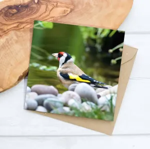 Goldfinch Greeting Card