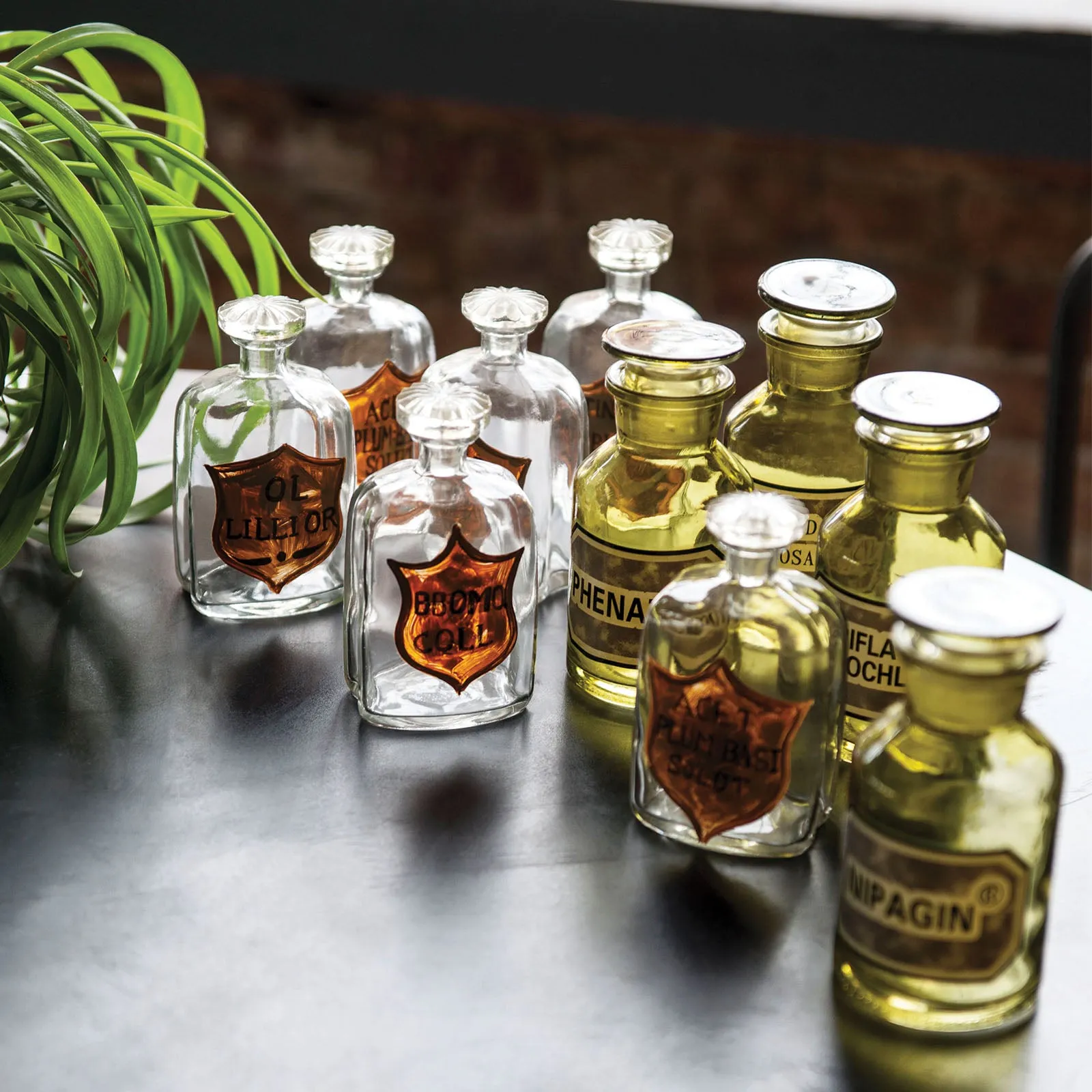 Green Apothecary Bottles, S/4