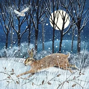 Hare, Moon and Owl Christmas Card Pack