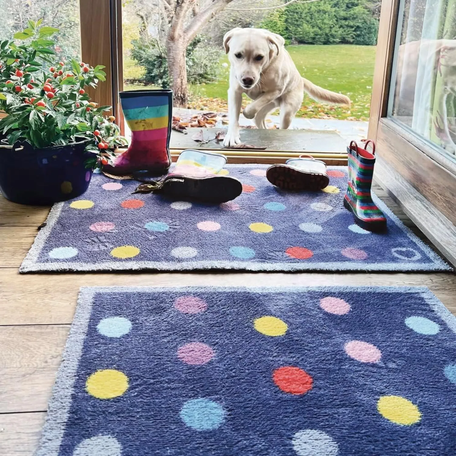 Hug Rug 150cm Navy Bright Spot Rug