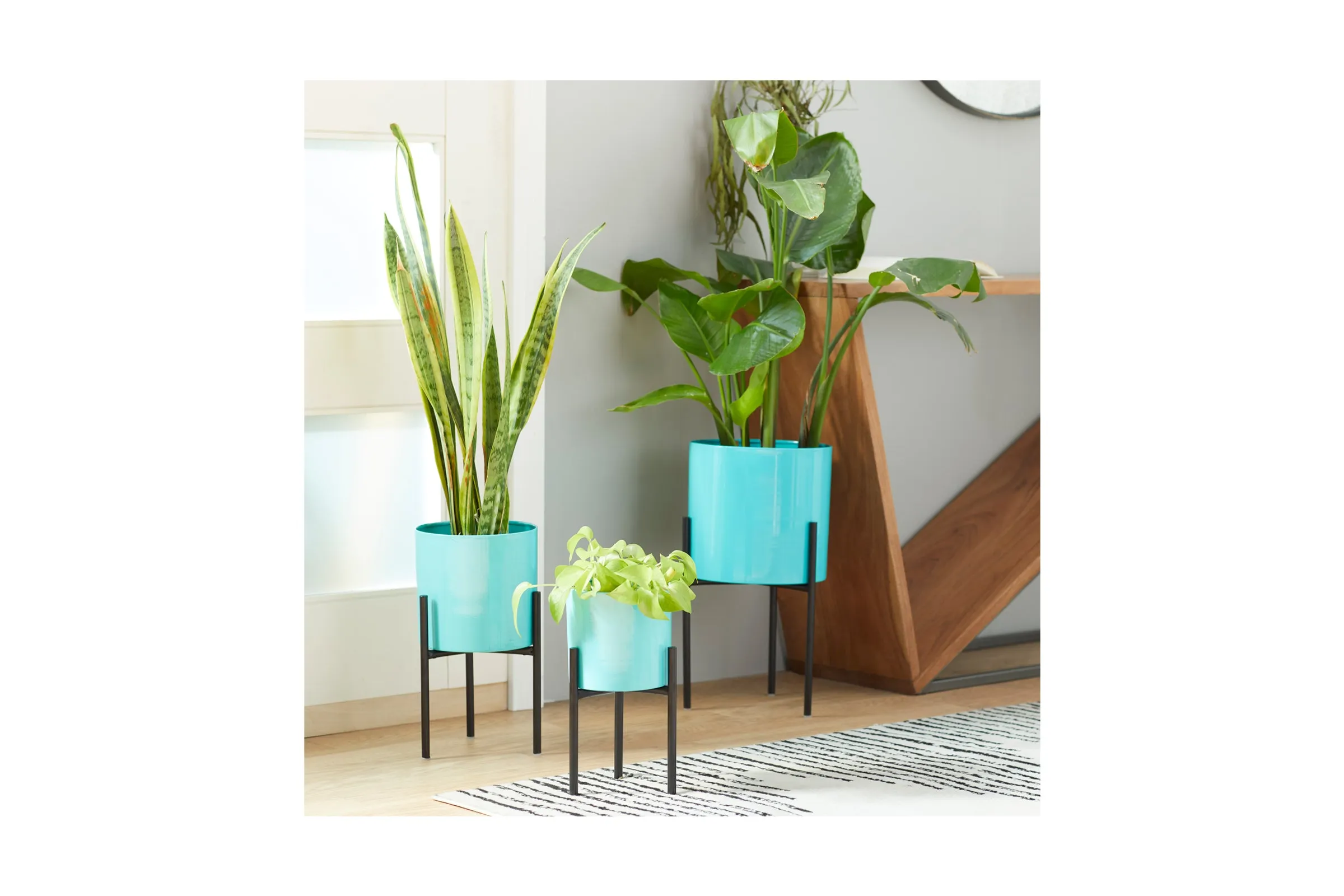 Ivy Planter Set