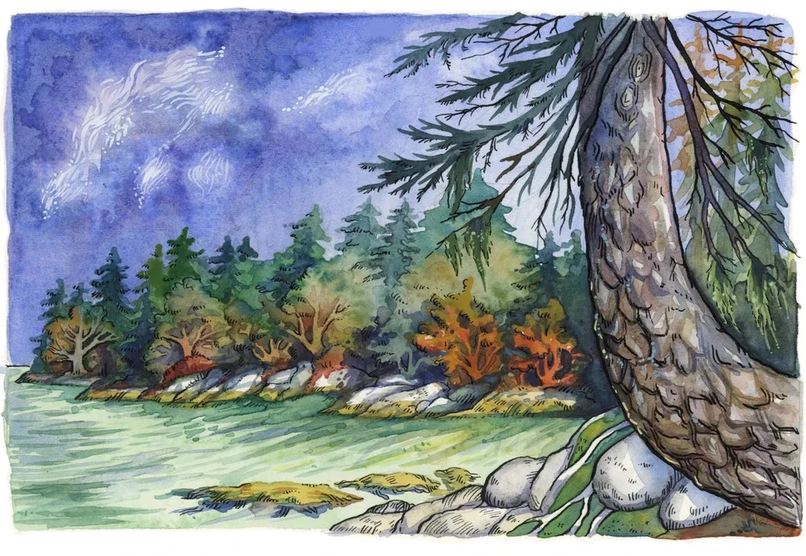 Note Cards by Claire Loon Baldwin