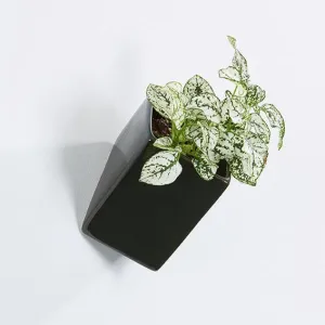 Off The Wall Plant Pots - large By Thelermont Hupton