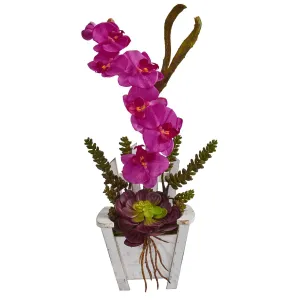 Phalaenopsis Orchid & Succulent Artificial Arrangement in Chair Planter