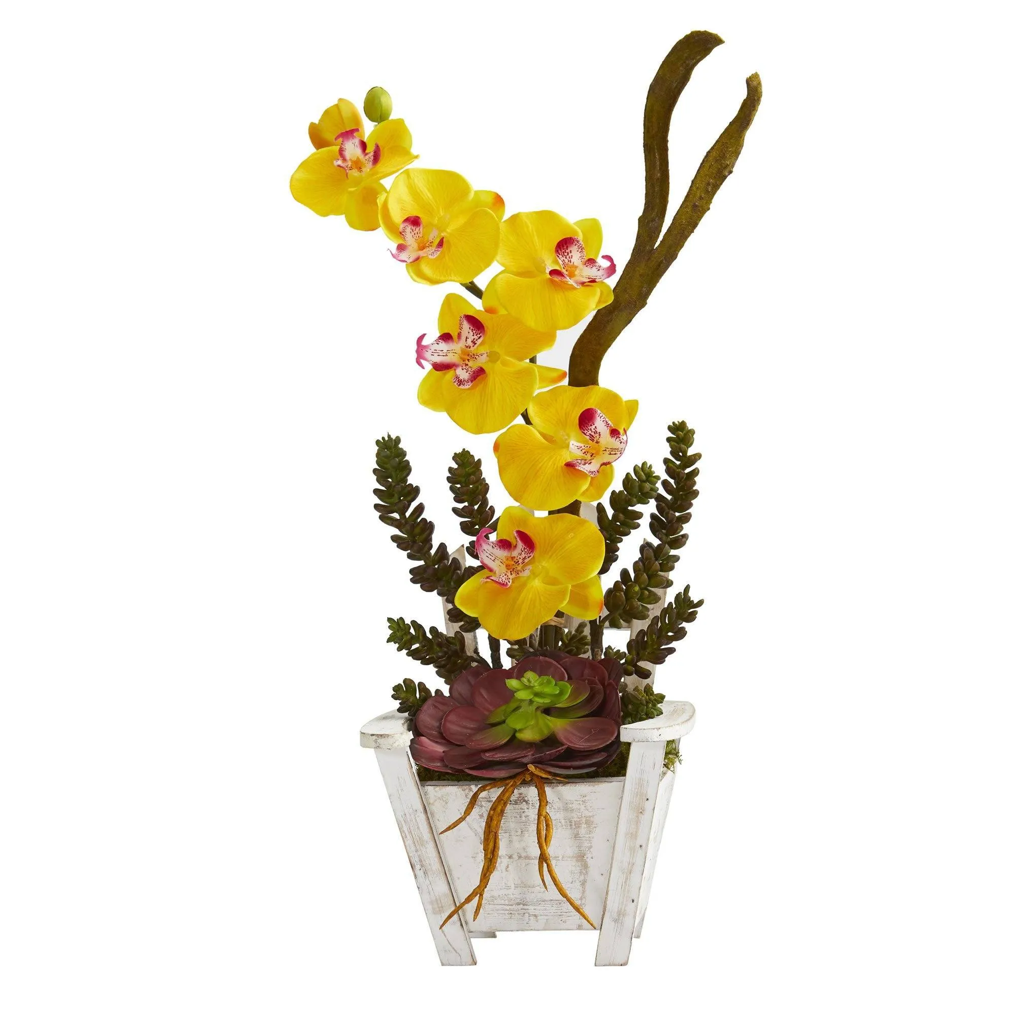 Phalaenopsis Orchid & Succulent Artificial Arrangement in Chair Planter