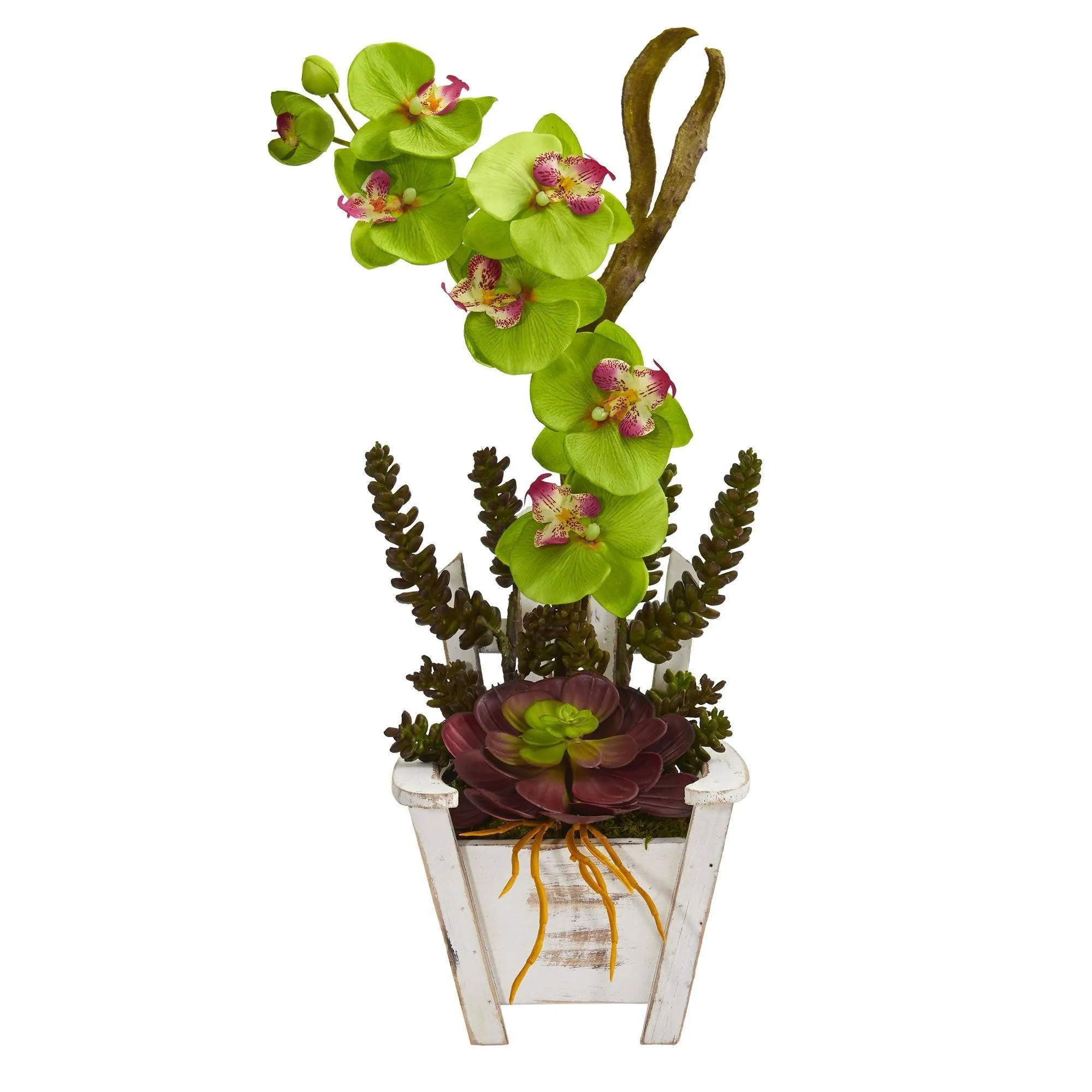 Phalaenopsis Orchid & Succulent Artificial Arrangement in Chair Planter