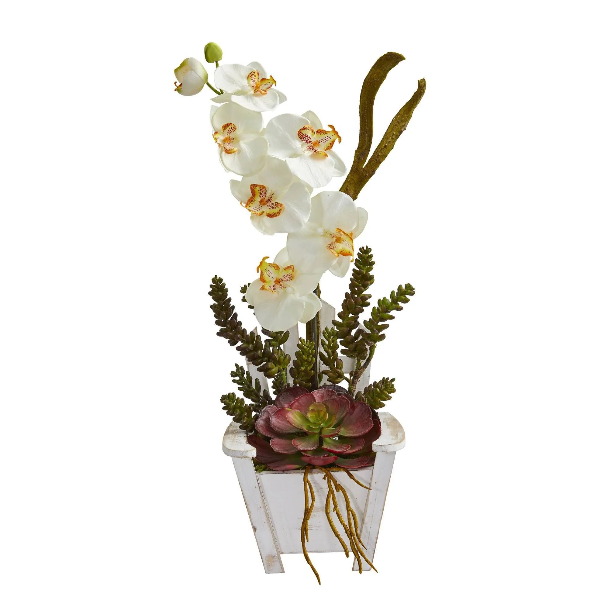 Phalaenopsis Orchid & Succulent Artificial Arrangement in Chair Planter