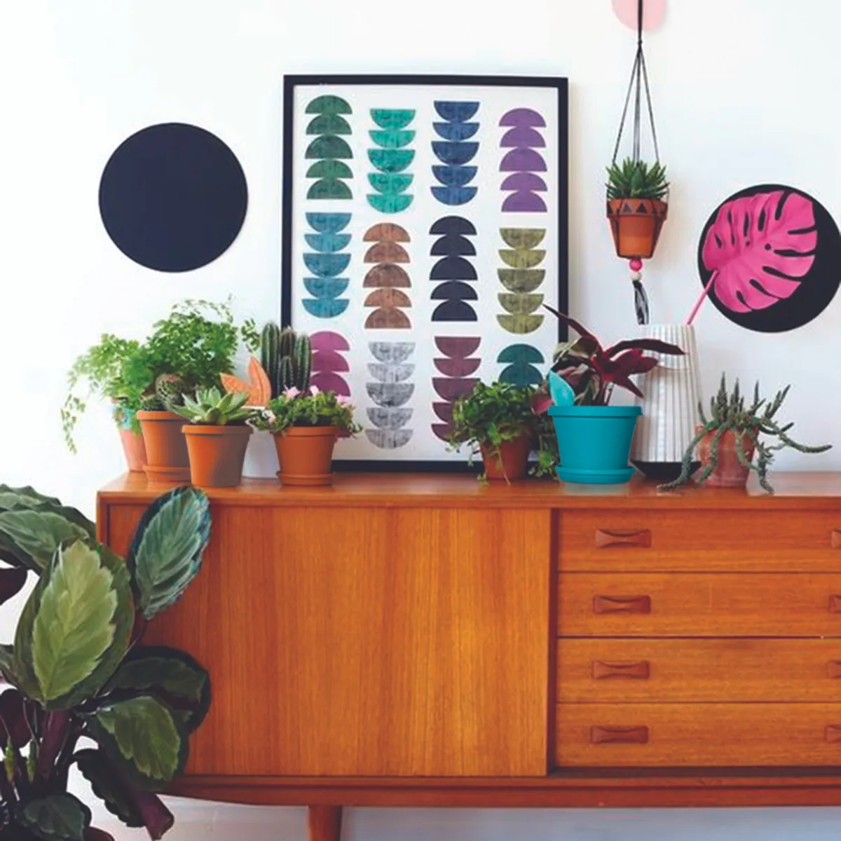 Sebor Super Pot - Teal