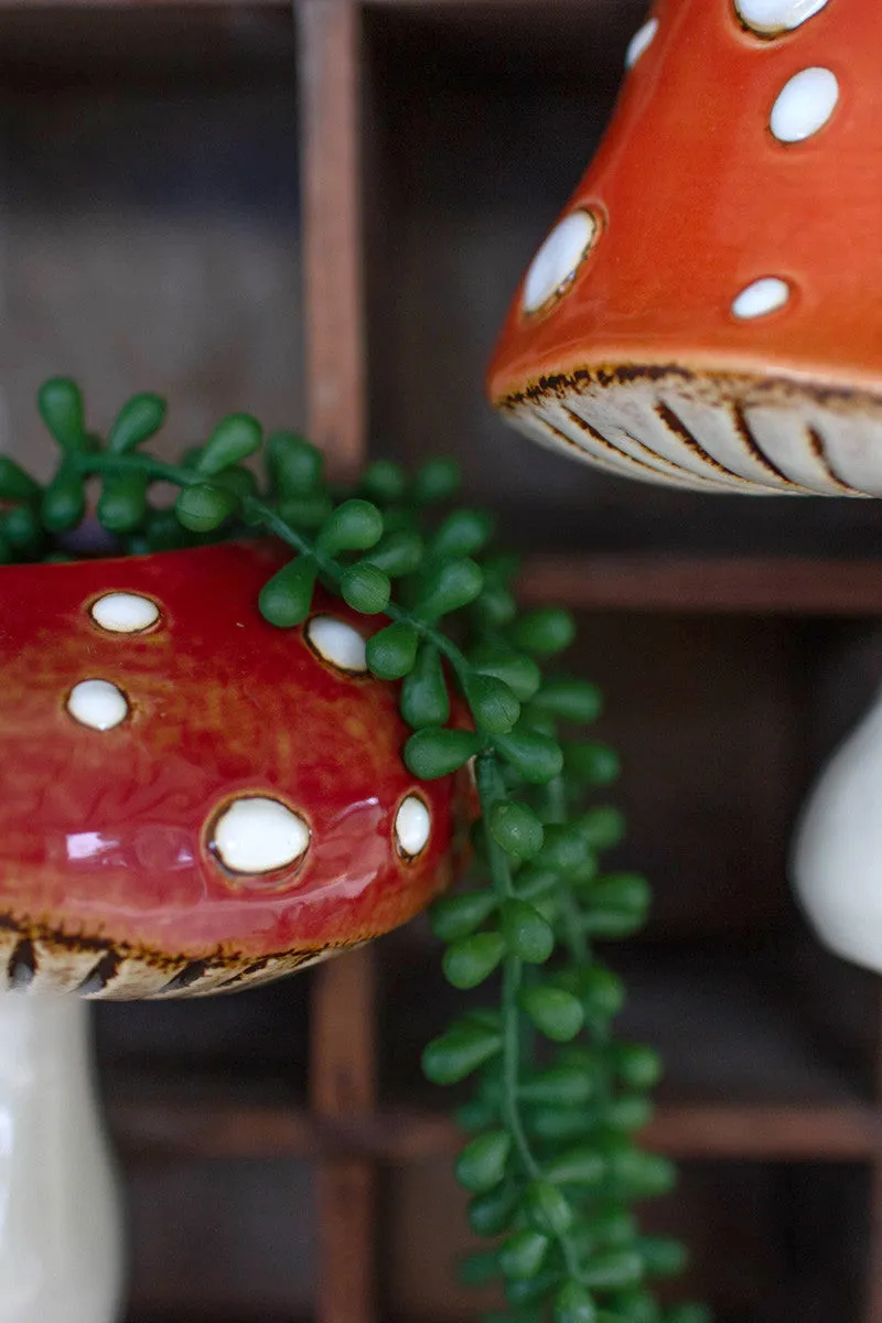 Set of 2 Ceramic Toadstool Wall Planters